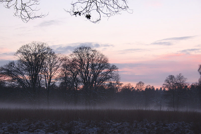 Na een lekkere wandeling in winterse sferen wilden we het park verlaten toen er opeens een heel mooi beeld ontstond. Lage mist boven het besneeuwde gras, een licht gekleurde lucht. Voor ons een pracht afsluiting van een heerlijke dag.