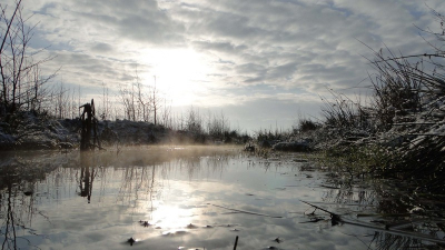 zaterdag ochtend na een nacht natte sneeuw verwarmde de zon het water wat een prachtige damp veroorzaakte.