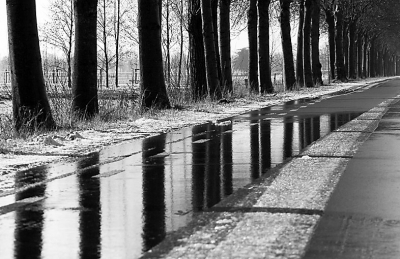 De dooi is goed aan de gang. Er blijft nog veel water op de straten staan en daarin zijn fraai de spiegelingen van de bomen te zien. De eerste foto kwam in het TA, hoop dat deze er wel door komt!
Omgezet in zwart wit.