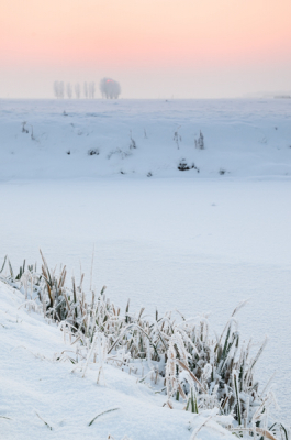 Tijdens een mooie zonsondergang dit winterlandschap vastgelegd. Grijsverloopfilter gebruikt. Verder in Capture NX contrast en verzadiging iets aangepast. Als laatste iets verscherpt.