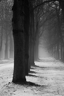 Met de dooi ontstaat er boven de restanten van de sneeuw gemakkelijk mist.
Dit laantje kwam ik tegen op het Landgoed Eerde.
Omgezet naar zwart wit.