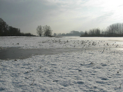 Deze  wandeling stond al een tijdje op de planing om eens te doen .De uiterwaarden van de rivier zijn door hun hoogteverschil  een uitadging om door heen te wandelen .