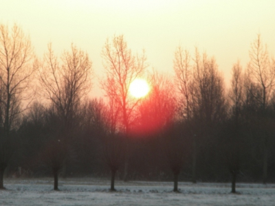 ik ging vanochtend toch nog een keer proberen foto's te maken toen ik zag dat de zon heel rood was snel een foto gemaakt, door mijn onervarenheid wil ik graag tips zodat ik mijn techniek kan verbeteren