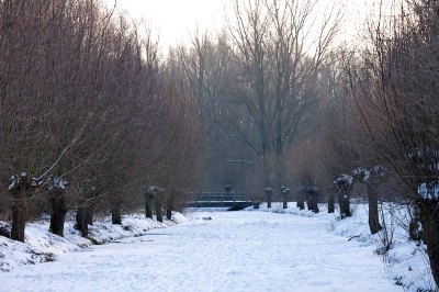 Bij de opkomende zon de camera gepakt en, staande op deze bevroren en besneeuwde sloot, dit oer-hollandse tafereel vastgelegd.