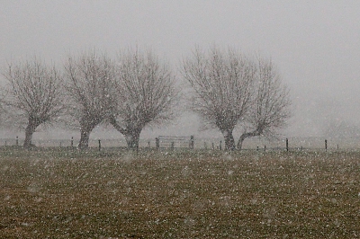 Vanmiddag onderweg veel sneeuwbuien gehad. De wereld wordt dan wel erg klein, het blijft een prachtig gezicht.