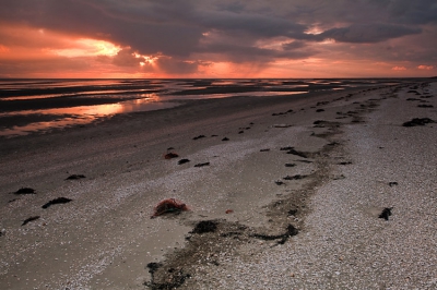 Week op Ameland geweest. Zowaar ook nog een paar mooie dagen gehad. Op 20-2 een eind het wad op geweest om wat foto's te maken. Werd getrakteerd op prachtige luchten en dito zonsondergang!