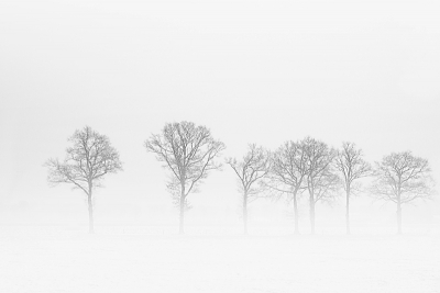 Ik kon even geen sneeuw meer zien, maar nu ik op deze zonnige dag naar mijn tijdens de afgelopen lange winter gemaakte foto's kijk, moet ik bekennen dat de sneeuw wel mooie plaatjes kan opleveren (althans vind ik zelf). Deze foto is gemaakt tijdens n van de eerste sneeuwbuien in december. Ook waaide het die middag behoorlijk, dat gaf mede het mistige beeld.
