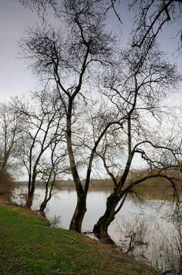 Deze week een aantal dagen in Frankrijk geweest. Ook nog wat tijd gevonden om een paar foto's te maken. Hierbij de eerste. De foto is gemaakt in de omgeving van Saumur.