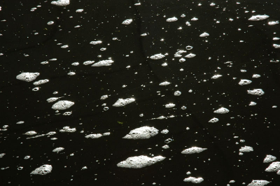 Het was een heldere morgen in de herfst. De zon scheen op het water en deed ieder schuimbelletje schitteren. Terwijl ik werkte aan een landschapsserie bij de Amstel, besloot ik een wat abstracter beeld te maken door een close-up te maken van het wateroppervlak. Ik hoor graag jullie commentaar.
