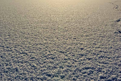 Die nacht vers gevallen sneeuw op schier eindeloze ijsvlakte van het paterswoldse meer. Recht tegen de lage zon in genomen. Het relief in het sneeuwdek komt goed uit. Helemaal rechts een spoor van een haas.

Ben benieuwd wat jullie er van vinden. Het is een minimalistische en tegelijk drukke foto geworden met bijna niks en heel veel er op.