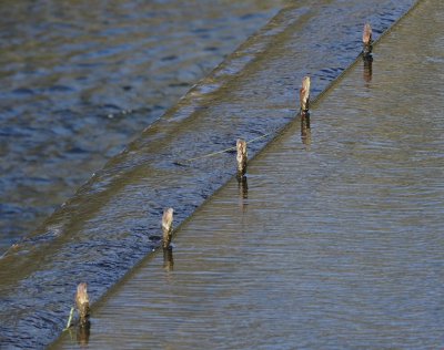 Hier in de duinen doorloopt het water een heel proces voordat het naar een verder gelegen pompstation wordt doorgepompt.