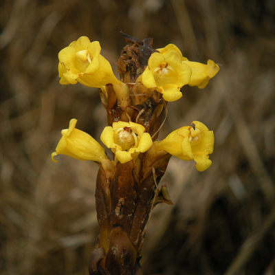 w  w we e e r  d  d d f gf g  g b  b n  n  n m  m  , m n b   v   v v v v v v vc    c c c c ccc  c c c c c