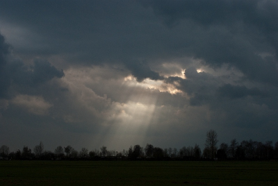 Die dag de gok gewaagd om foto's te nemen in de polder. Helaas werd het steeds donkerder.Het zat totaal dicht behalve dat ene stukje...