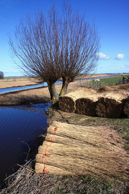 Het wordt lente. Blauwe lucht, het riet gemaaid , het ijs verdwenen. Wij zijn er klaar voor.