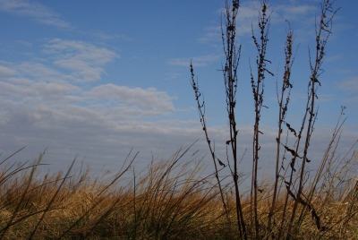 Een frisse ochtend met veel wolkenvelden. Gekozen voor een laag standpunt, waarbij de wolkenvelden goed zichtbaar zijn.