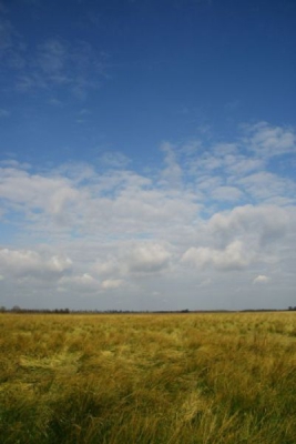 Frisse ochtend, met veel wolkenvelden. De wolken hingen laag, met daarboven een zeer mooie blauwe lucht.