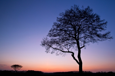 Zoals velen heb ook ik zitten loeren op die spectaculaire zonsondergang. Gisteravond wel wat rode strepen maar helaas zakte de lucht hier geheel dicht. Deze is van vanavond.........volgens mij niet veel roder/spectaculairder dan anders. Toch wel een aardige plaat geworden.