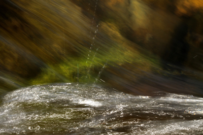 Een woozy waterfoto, heeft altijd wel mijn persoonlijke voorkeur. Ook het contrast met het donkere deel boven en het lichtere deel onder vind ik wel wat hebben.