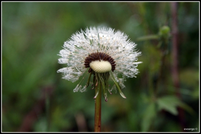 Op een regenachtige zaterdag morgen is deze foto gemaakt. Had het liever wat droger gehad en een zonnetje erbij.