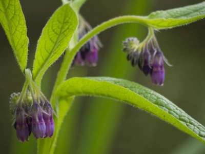 Op deze regenachtige workshopochtend proberen we toch goede foto's te maken.