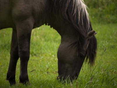 Op deze regenachtige workshopochtend proberen we toch goede foto's te maken