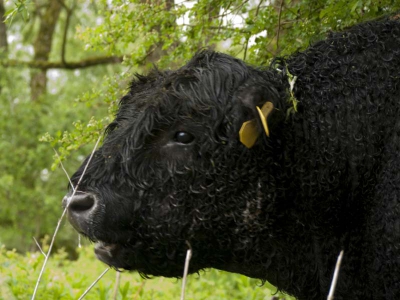 Op deze regenachtige workshopochtend proberen we toch goede foto's te maken