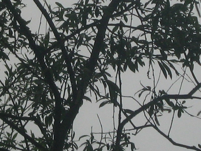 het was erg grijs weer tijdens deze fotoworkshop, maar geprobeerd om daar juist een leuk effect mee te cre�ren.