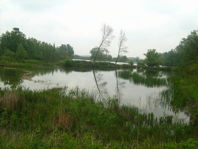 het was heel grijs en bewolkt weer, maar op deze foto vind ik dat het grauwe licht zorgt voor een mysterieuze sfeer. Uitzicht, maar ook verticalel lijnen door de boompjes in het midden