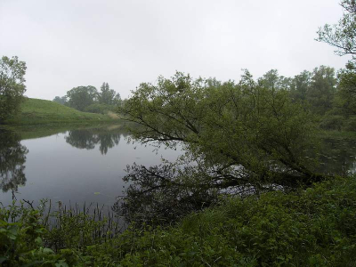 ik vond deze tak mooi en toen zag ik dat ie eigenlijk naar het waterwees. het leek me leuk dat je dan via de tak naar de horizon kijkt