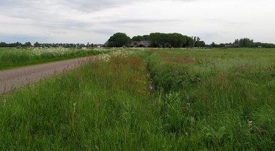 Agrarisch cultuurlandschap. Ik heb niet gewacht op een mooie wolkenlucht: voor je het weet zijn de bermen met fluitenkruid gemaaid. Het gaat me om de sfeer.