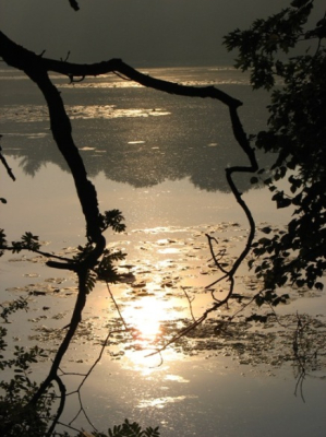 Het was een vroege zonnige zondagochtend, met wat ochtendnevel.