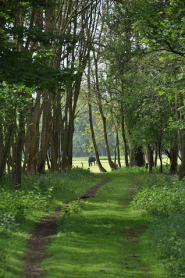 ik vond de kleurnuances in deze foto goed uitkomen.
misschien technisch niet helemaal ok...