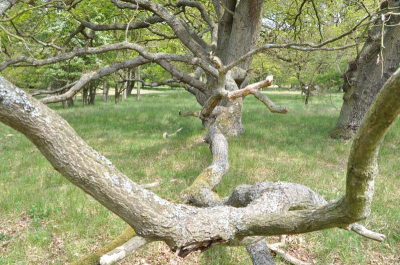 moeilijk om hem van voor tot achter scherp te krijgen.
trucje geleerd van Joost