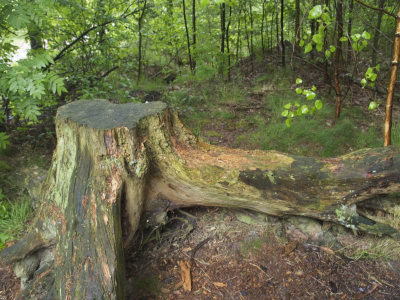 Gemaakt in ��n van de spaarzame droge momenten tijdens onze workshop.