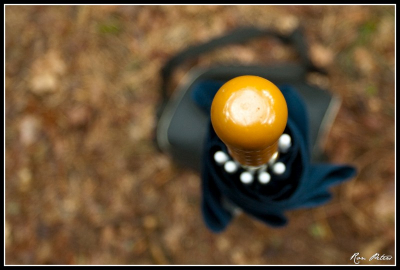 Deze foto is van boven af genomen. Hij straalt rust uit na de regenbui :-)
Gezien het slecht weer was vond ik deze er wel mooi bij passen