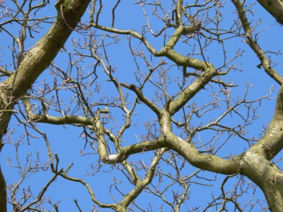 een blauwe maandag