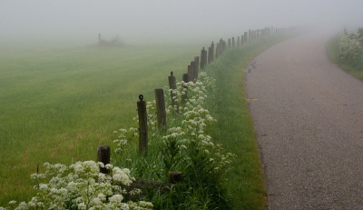 Zag deze mist, moest wel een opname maken, gestopt onderweg en een aantal opname�s gemaakt waaronder deze.