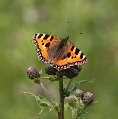 HhjjjKkkLll;;  lk j j h hh h hj j h h h hh h h hh h jh hhh h h h hh h h h hh hkji i io oo o o.