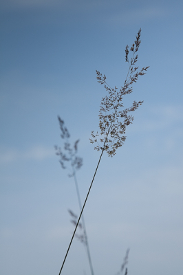 Bekijk je onderwerp vanuit verschillende hoeken, met uit vesrchillende hoeken lichtinval.
