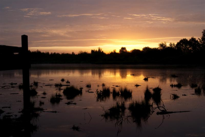 's Morgens vroeg de Groote Peel in, bij het eertse ven was de lucht mooi oranje gekleurd door de opkomende zon.