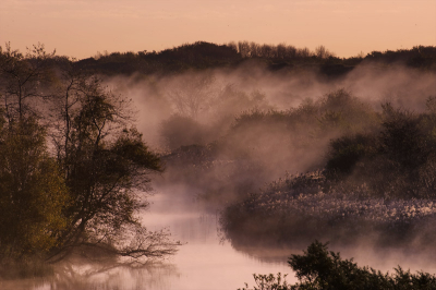 S'morgens bij zonsopkomst moet je al op deze plek aanwezig zijn om goed uit te kunnen kijken over het duinlandschap. Als het dan ook nog mistig is, is het bingo. ( foto Dick.)