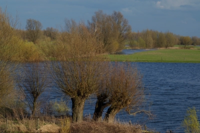 Met de zon in de rug worden de kleuren mooi diep