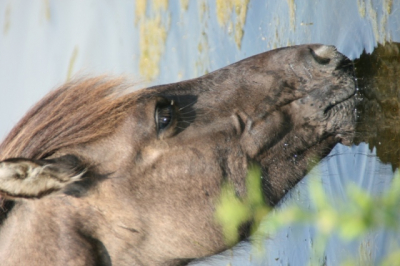 Oefenen met handmatige instellingen, met name diafragma en sluitertijden,