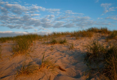 Tijdens de wandeling geven de late avondzone en de Texelse duinen vaak mooie sfeerbeelden.