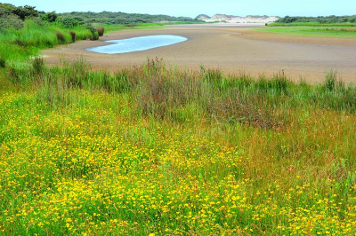 Tijdens natuurworkshop verschillende landschapsfoto's gemaakt. Deze vind ik de mooiste