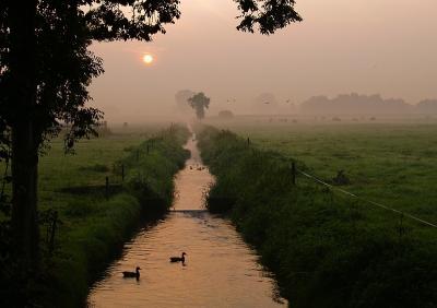 Op een rustige zondagmorgen kwam ik dit plaatjes tegen, niet eens zo ver bij de bewoning vandaan.