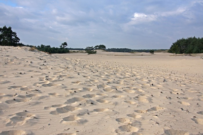 Wisselende weersomstandigheden en hier en daar van het zonlicht gebruik kunnen maken....
