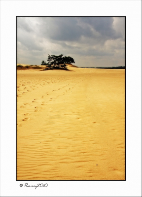 Van de workshop van 21 augustus, een middelmatige foto, dus aan het bewerken geslagen.