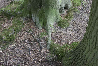 Nog uit de hand, intrigerende lijnen; Een van de eerste foto's uit de cursus.