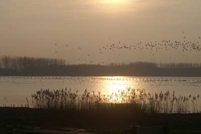 Terwijl het een koude dag is geweest gaf het ondergaande zonnetje een prachtige gloed over het water.
Gemaakt met de minolta dynax d7